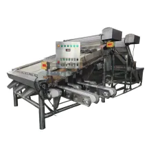 Lobster Shrimp Grading and Prawn Sorting Machines
