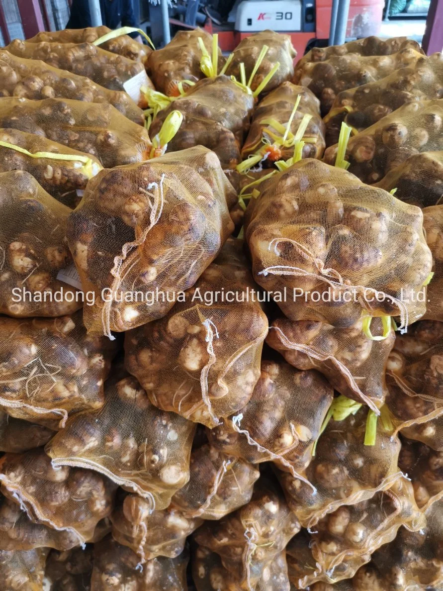 Factory Price Fresh Washed Taro with Best Taste