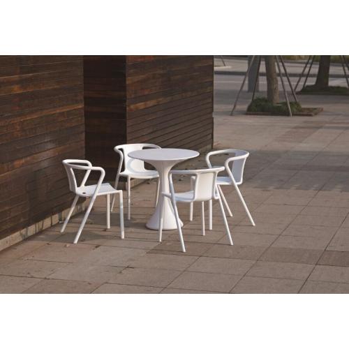 Plastic Dining Chairs