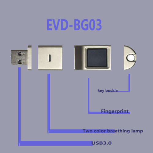 Verschlüsselte Fingerabdruck-U-Diskette