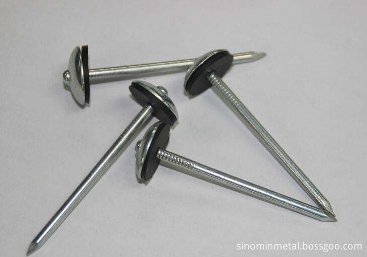 roofing nails