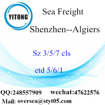 Shenzhen Port LCL Consolidation To Algiers