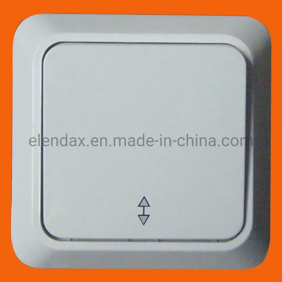 Настенная розетка европейского типа для поверхностного монтажа (S1010)