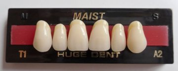 DCL material Maist full set