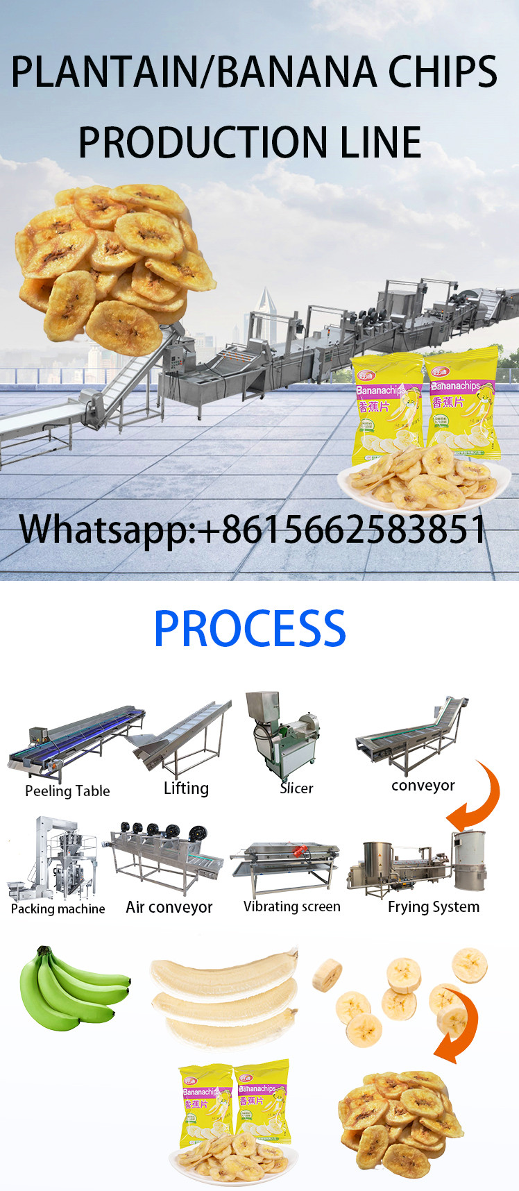 Banana Chips Making machine 