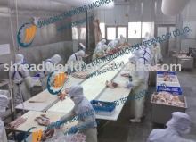 beef dividing conveyor system