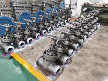 5" 600LB WCB Gate Valve