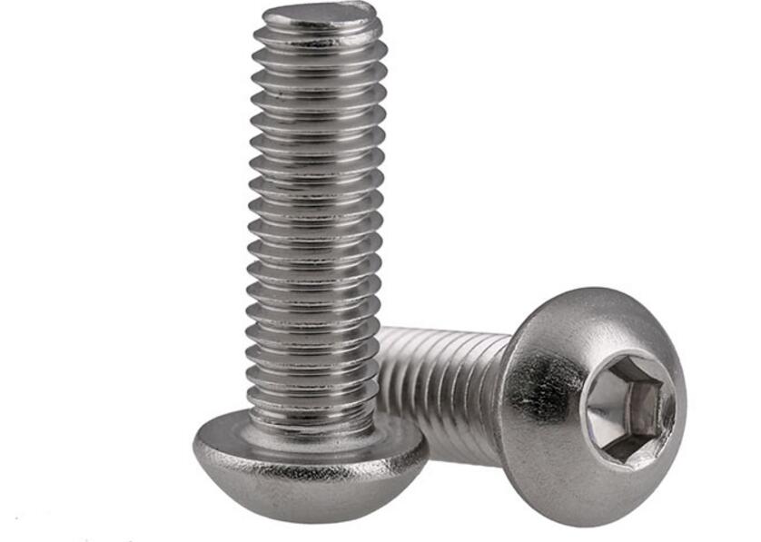 Button head Stainless screw (12)