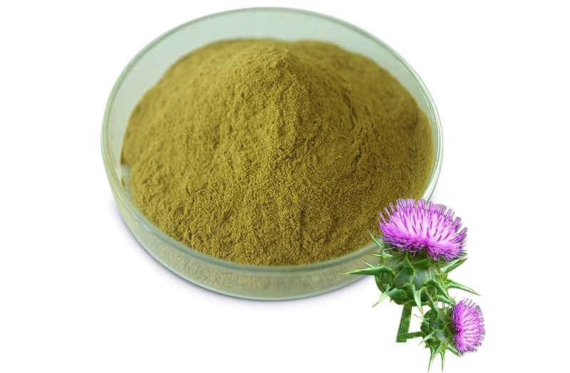 Free Samples CAS 65666-07-1 Milk Thistle Extract Powder 80% Silymarin