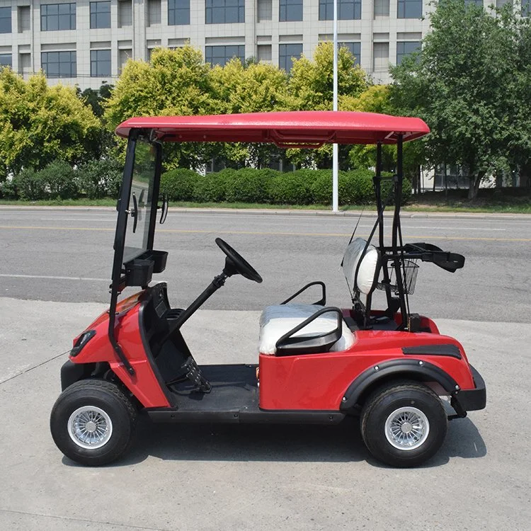 2 Seats Battery Powered Electric Sponge Seat with Safety Belt Per Seat Utility Mini Club Golf Carts with Ce Certificate