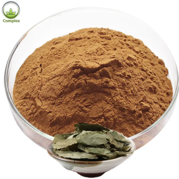 high quality epimedium extract powder with GMP