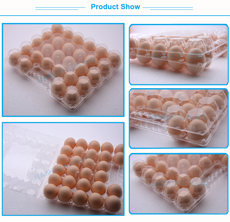 Chicken Egg Crate with Handle Unique Design Plastic Blister Tray JM Packing Clear Custom Order 3-7days PET/PVC Printed Label