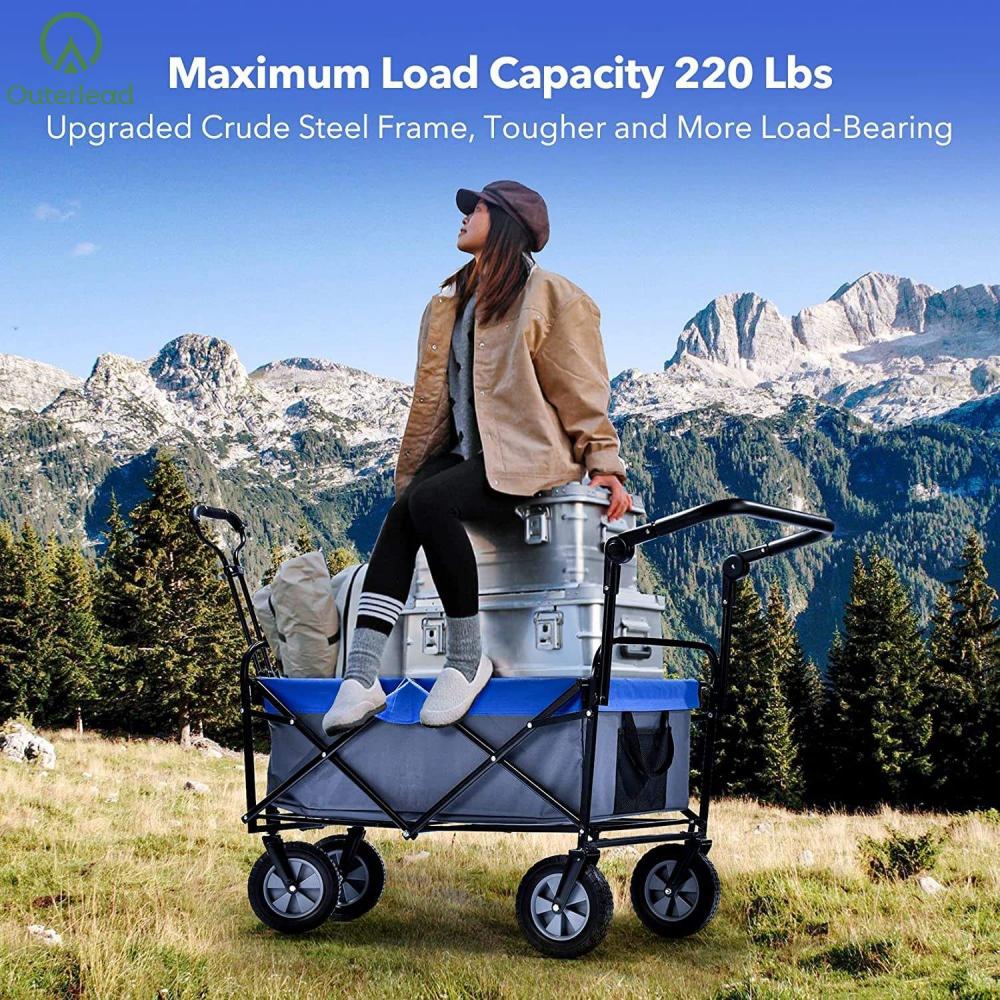 Collapsible Wagon With Push Handle 1 Jpg