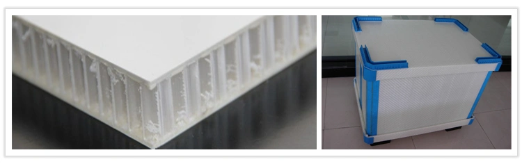 Thermoplastic Honeycomb Panel