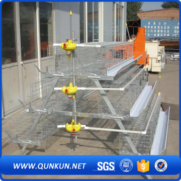 automatic industrial poultry equipment for layer farming