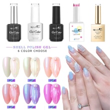 Nail Art Sea Shell UV Gel Polish & Nail Glue from China