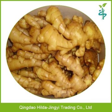 Chinese fresh ginger wholesale ginger price