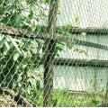 Galvanized Chain Link Netting