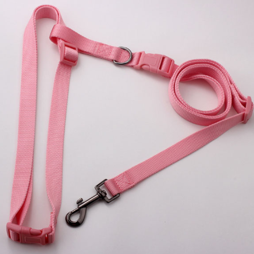 Puppy Collar Leash