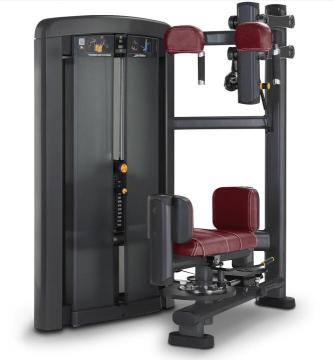 Rotating Torso Exercise Machine