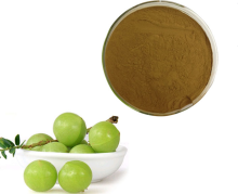 Hot Selling Phyllanthus Emblica Fruit Extract