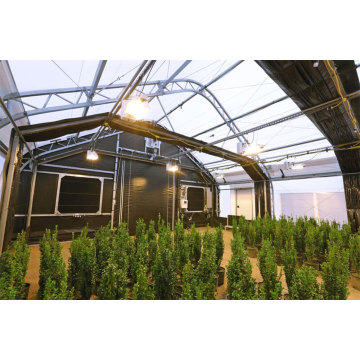 Greenhoout Greenhouse Light Privation traspirante serra