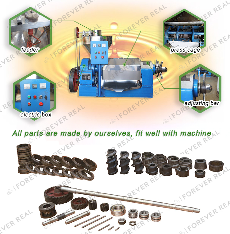 RF130-S Pressed Cotton Processing Screw Oil Press Machine Coconut Cold Oil Press Machine