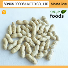 Best Selling Products Raw Peanut In Shell