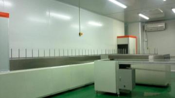 Fully Automatic painting line