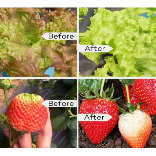 Plantas de frutas de alta qualidade 3000w Led Grow Light