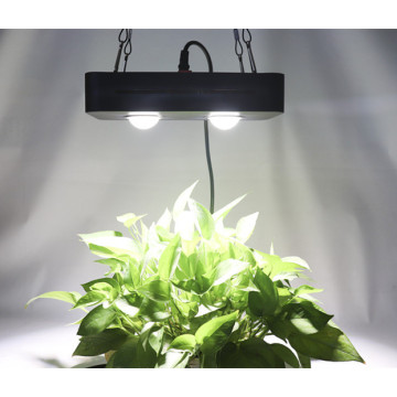 300W Led plant grow light lamp full spectrum