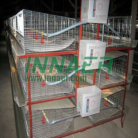 Factory supply broiler rearing cage for poultry farm
