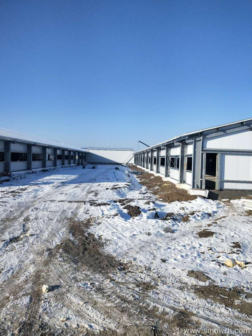 Steel Structure Warehouse for Chicken