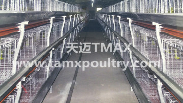 Poultry Litter Removal Equipment