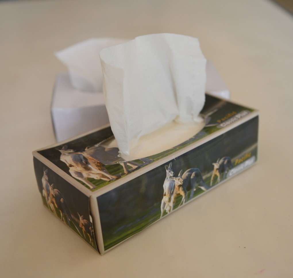 Серветка для обличчя плоскої форми3 Flat box facial tissue3