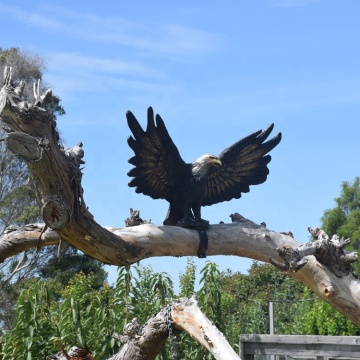 Life size bronze brass eagle statue