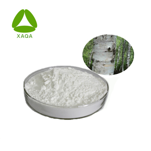 Betulin 50% Brith Bark Extract Powder Food Grade