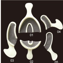 Impression Tray with Net