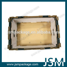 paper carboard box for fresh fruit mango