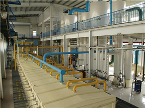Extracción Extraction