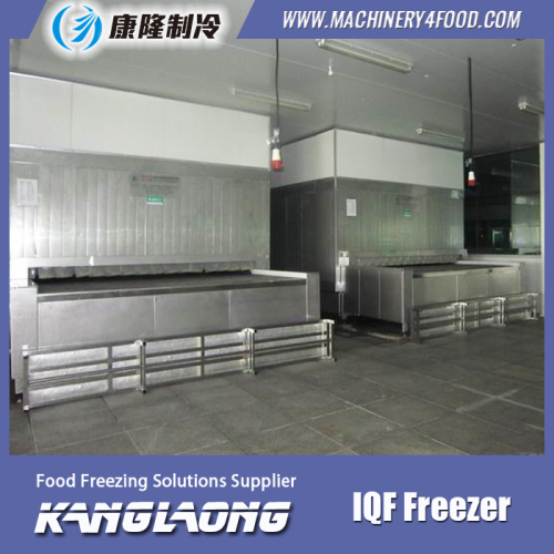 Hot Sale IQF Cheese Fast Freezing Machine