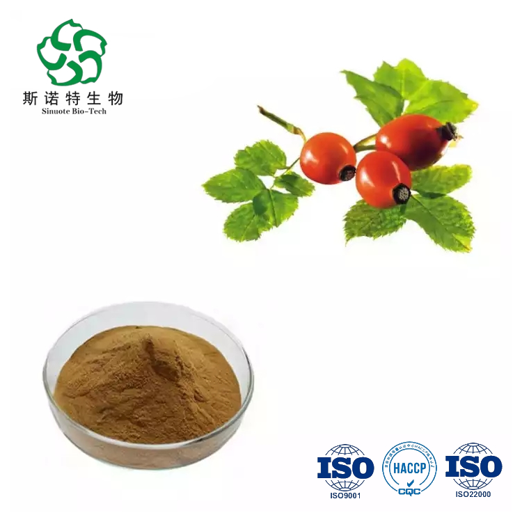 Rose Fruit Powder Rose Fruit Powder