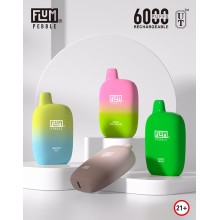 FLUM PEBBLE vape 6000puffs