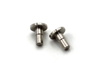 Non-Standard Stainless Steel Flat Head Rivets