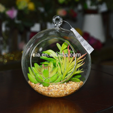 We Export Succulent Plants Geometric Glass Terrarium Wholeasle