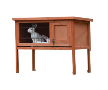 Rabbit Hutch Pet Cages & Carriers