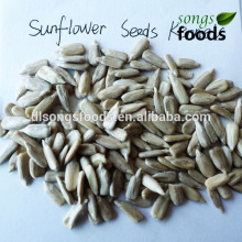 2014 Sunflower Seeds Kernels