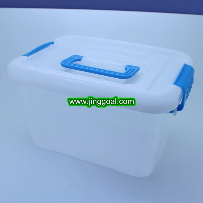 Small  and  Large  Plastic Storage  Box