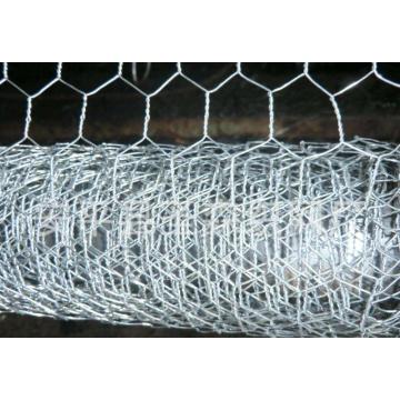 hexagonal wire netting for chicken farm