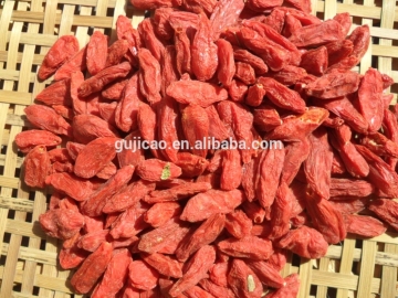 new crop NOP EU certified organic goji berries